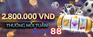dom88