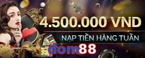 dom88