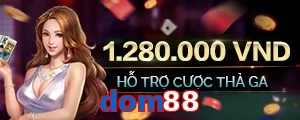dom88