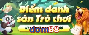 dom88