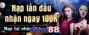 dom88