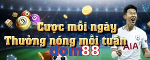 dom88